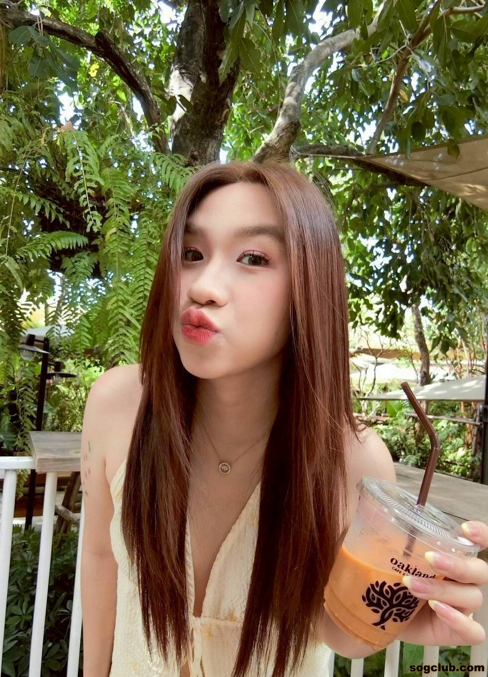 213.jpg