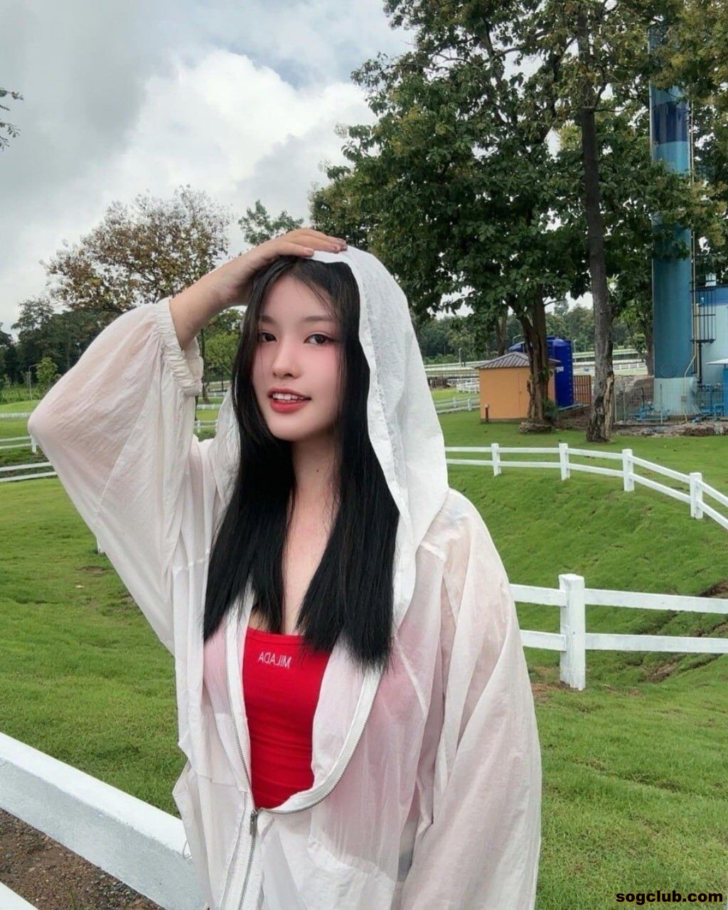 456.jpg