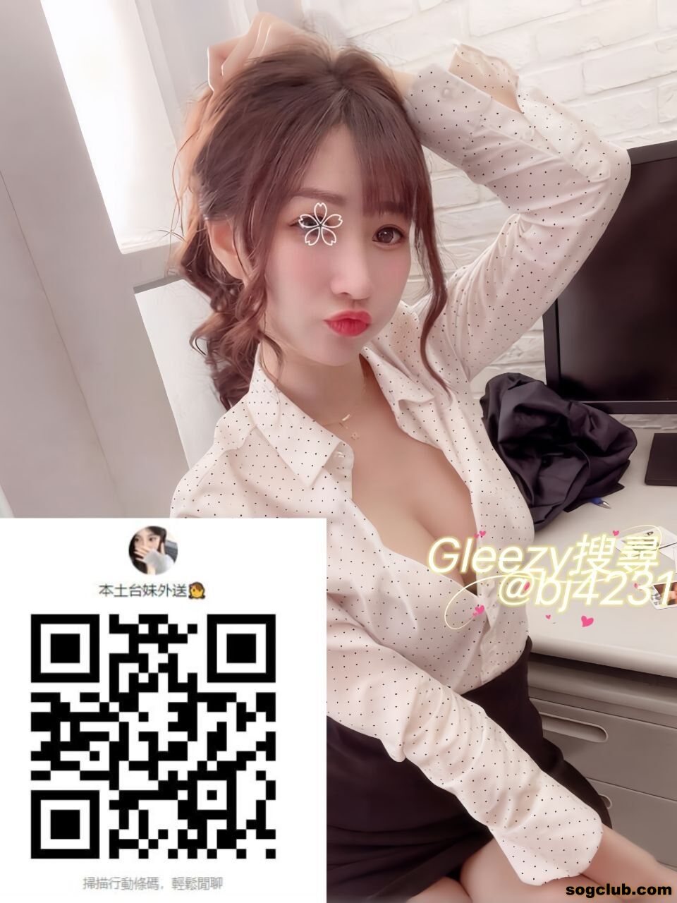 北部 新竹 小隻馬紅牌 多芬 (1).jpg