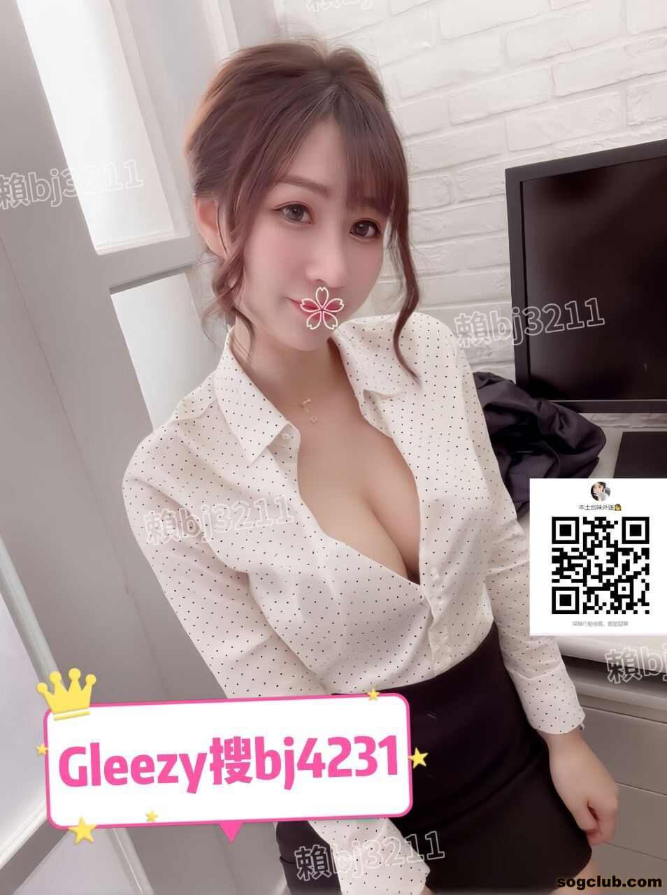 北部 新竹 小隻馬紅牌 多芬 (3).jpg