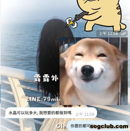 telegram.jpg