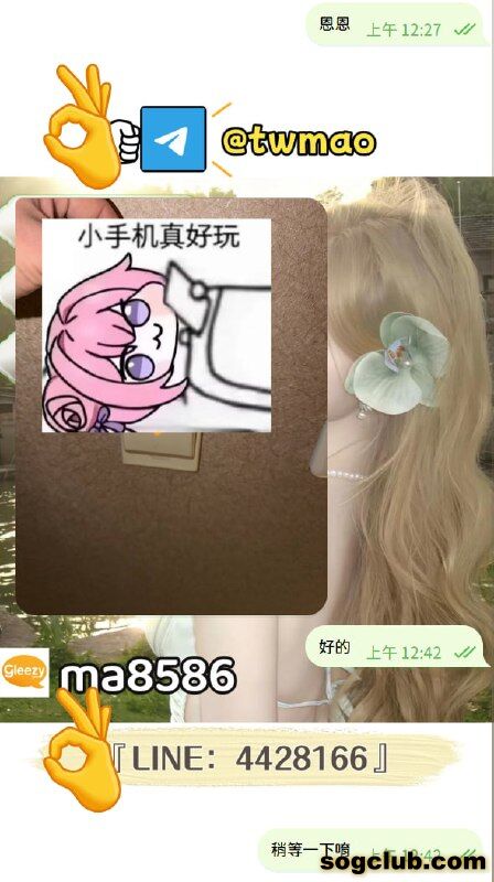 telegram.jpg