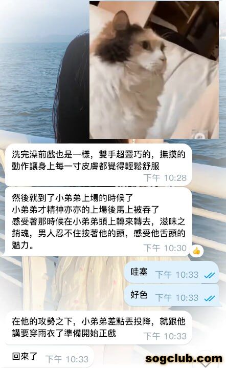 telegram.jpg