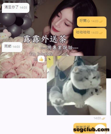 telegram.jpg