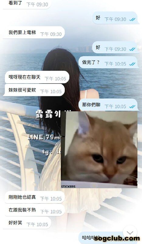 telegram.jpg