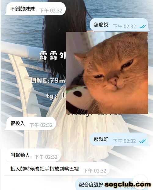 telegram.jpg