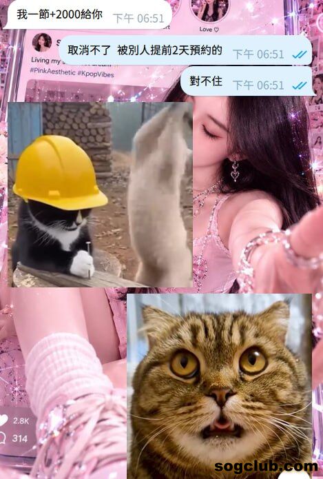 telegram.jpg