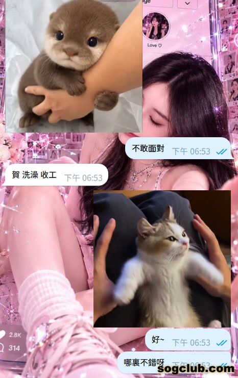 telegram.jpg