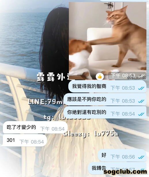 telegram.jpg