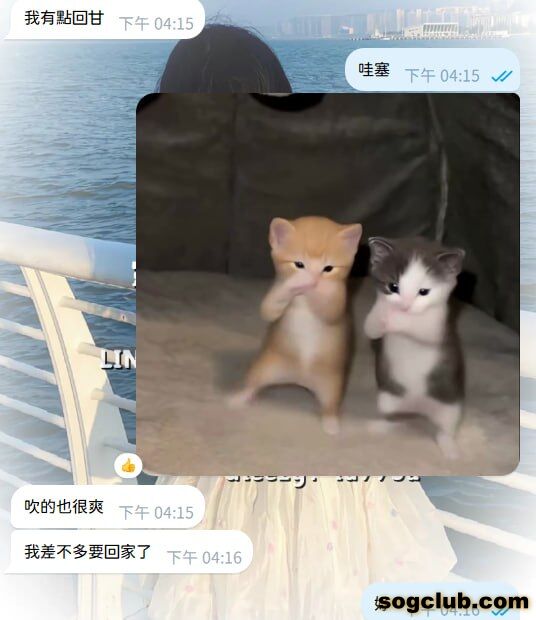 telegram.jpg