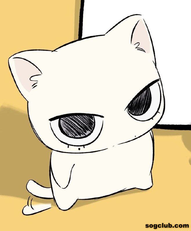 telegram.jpg